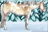 Horse Color:Plaid  White Spotted Silver Bay Onyx 