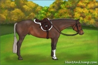 Horse Color:Silver Brown 