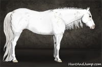 Horse Color:Silver Smoky Grullo Ice Sabino