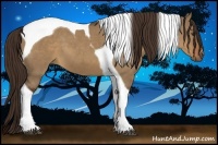 Horse Color:Liver Red Dun Tobiano 