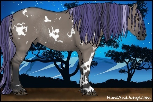 Horse Color:Painted White Spotted Grullo Rabicano 