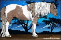 Horse Color:Red Roan Tobiano