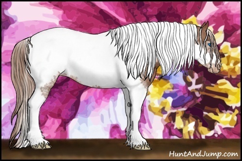 Horse Color:Chestnut Tobiano Frame Blanket 