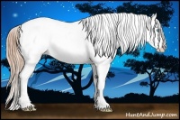 Horse Color:White Spotted Smoky Black Pearl Appaloosa