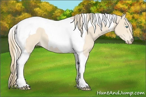 Horse Color:Perlino Tobiano 