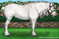 Horse Color:Liver Red Onyx Roan Snowdrop Pearl Sabino Snowflake Varnish and Chocolate Palomino Roan Pearl Dun Tobiano Snowflake Varnish