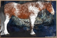 Horse Color:White Spotted Bay Ice 