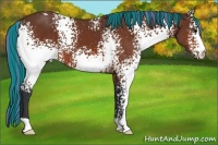 Horse Color:Painted White Spotted Bay 