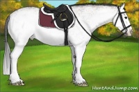 Horse Color:White Spotted Grullo Roan Splash Rabicano