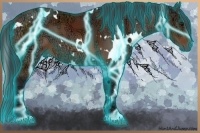 Horse Color:Thunderstruck White Spotted Bay Ice 