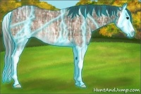 Horse Color:Thunderstruck Plaid  Bay Ice Splash 