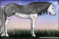 Horse Color:Brown Splash 