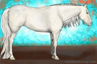 Horse Color:Palomino Roan Pearl Dun  and Palomino Roan Pearl Dun 