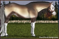 Horse Color:Liver Red Onyx Sabino Splash 
