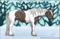 Horse Color:Liver Chestnut Ice Tobiano Frame