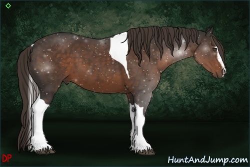 Horse Color:Liver Chestnut Sabino Tobiano 