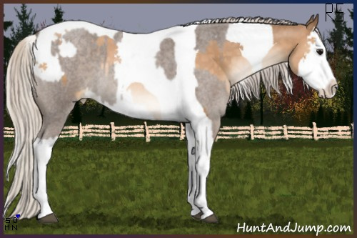 Horse Color:Silver Blue Roan Tobiano and Chocolate Palomino Pearl Splash Tobiano