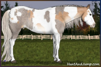 Horse Color:Silver Blue Roan Tobiano  and Chocolate Palomino Pearl Splash Tobiano 