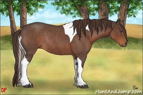 Horse Color:Liver Red Roan Tobiano Rabicano 