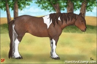 Horse Color:Liver Red Roan Tobiano Rabicano