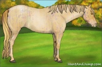 Horse Color:Nacre Bay Roan Pearl and Red Roan Pearl