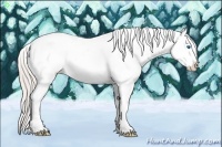 Horse Color:Silver Blue Roan Sabino Splash Frame Blanket 
