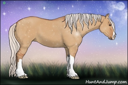 Horse Color:Silver Bay Dun