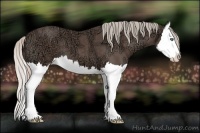 Horse Color:Silver Black Ice Splash
