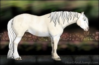 Horse Color:Palomino Roan Pearl  and Palomino Roan Pearl Splash 