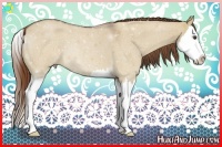 Horse Color:Red Dun Roan Splash