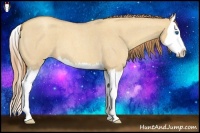 Horse Color:Gold Champagne Roan Dun Splash 