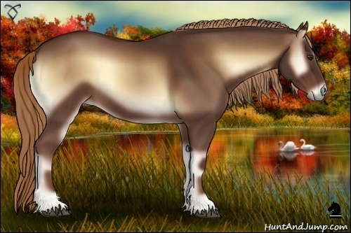 Horse Color:Red Onyx 