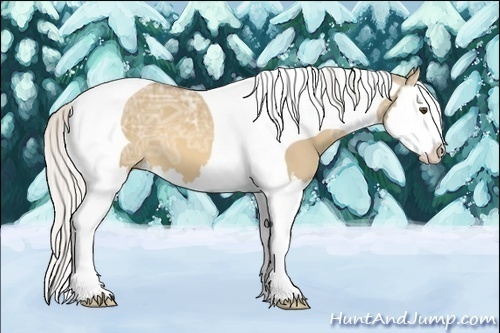 Horse Color:Silver Buckskin Ice Dun Splash Tobiano 