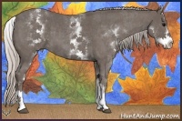 Horse Color:White Spotted Silver Blue Roan 
