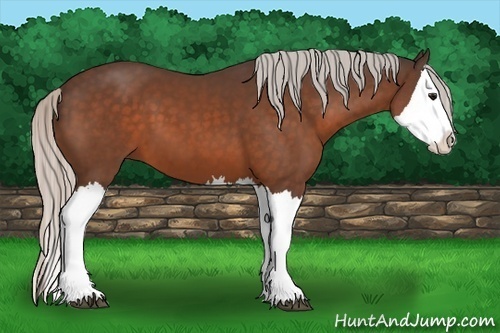 Horse Color:Silver Bay Splash