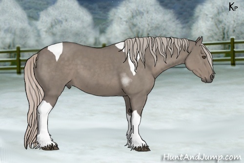Horse Color:Silver Grullo Tobiano