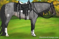 Horse Color:Buckskin Roan Rabicano 