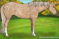Horse Color:Palomino Ice 