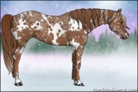 Horse Color:White Spotted Chestnut Ice 