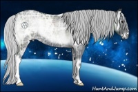 Horse Color:Silver Blue Onyx Chinchilla Ice