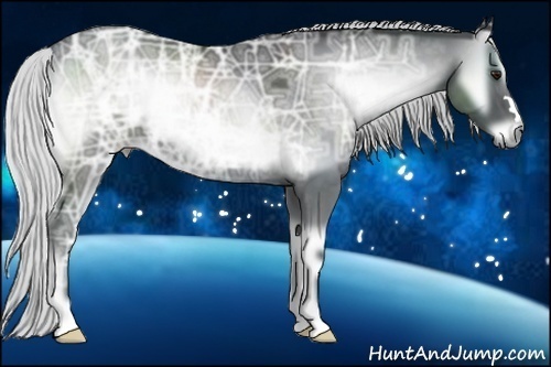 Horse Color:Silver Blue Onyx Chinchilla Ice