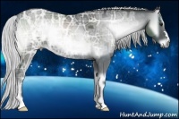 Horse Color:Silver Blue Onyx Chinchilla Ice 