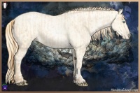 Horse Color:Buckskin Roan Pearl and Amber Cream Champagne Roan Pearl