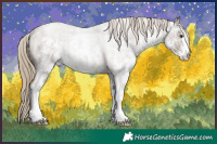 Horse Color:Chocolate Palomino Roan Sabino Rabicano