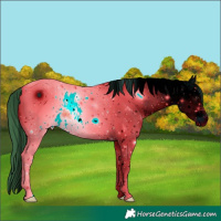 Horse Color:ERROR: UNKNOWN ANOMALY