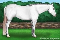 Horse Color:Bay Roan Dun Near Fewspot 