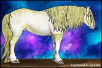 Horse Color:Watercolor Gold Champagne Ice Onyx 