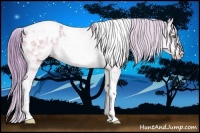 Horse Color:Watercolor Amber Champagne Ice Tobiano Appaloosa Rabicano