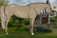 Horse Color:Chocolate Palomino Roan Dun 