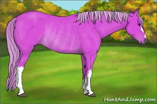 Horse Color:Watercolor Chestnut Rabicano 
